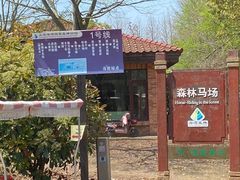 -上海海湾国家森林公园