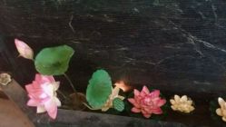 -脉道美容养生会所