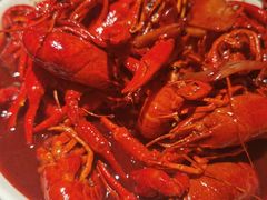 -京韵胡同·酱香羊蝎子火锅涮肉(长寿路店)