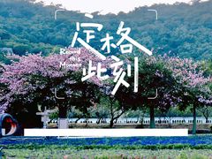 -丹樱生态园