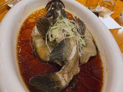 清蒸多宝鱼-粤域茶餐厅