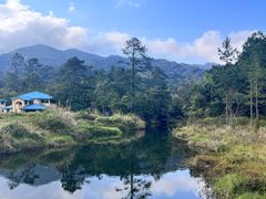 -海南热带雨林国家公园吊罗山景区