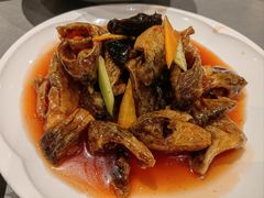 -燕春楼(海河华鼎店)