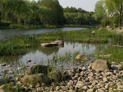 -新江湾城公园