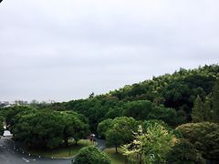 -上海佘山世茂艾美酒店