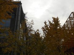 -江宁织造博物馆