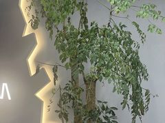 -合肥野生动物园