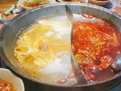 -赵美丽·重庆社区火锅·直营店(火车东站·中豪国际店)