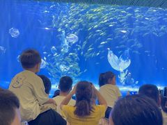 -华夏文旅海洋公园