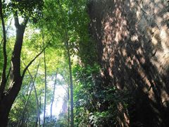-武夷山风景名胜区-虎啸岩