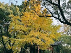 -汇龙潭