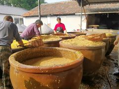 -苏州市吴中区光福窑上花果蜜饯厂