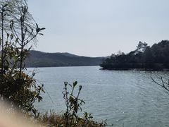 -天目湖涵田半山温泉