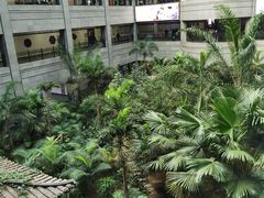 -黑龙江中医药大学附属第一医院