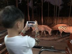 -清迈夜间动物园