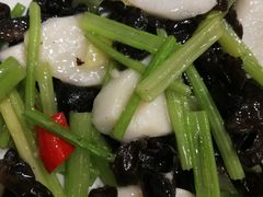 -沙田鸽王(解放路店)