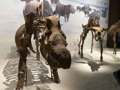 -呼伦贝尔民族博物馆