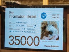 -帕帕拉兹宠物(亚洲旗舰店)