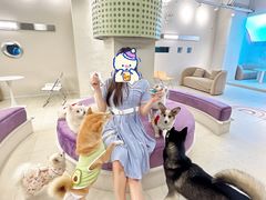 -怪兽屋·羊驼·猫咖·狗咖(俊华广场店)