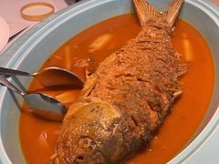 -阿五黄河大鲤鱼(英协路店)