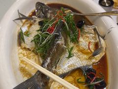 -陶缘一号·四季缘·老字号顺德菜·户外婚礼家宴(西滘店)