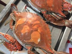 螃蟹-威海海鲜王(窑头路店)