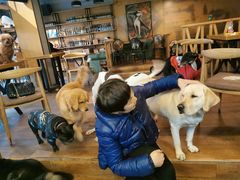 -萌喵咖啡屋(人民东路4号口M16商铺店)