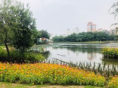 -映月湖公园