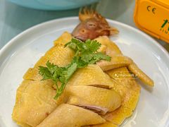 -金山记靓鸡专门店·中山菜