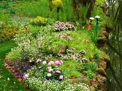 -上海共青森林公园