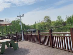 -苏州上方山国家森林公园