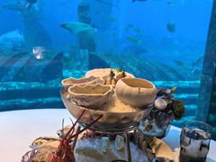 -亚特兰蒂斯•OSSIANO奥西亚诺海底餐厅