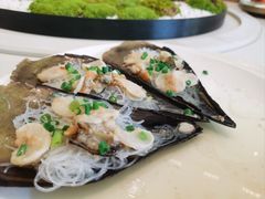 蒜蓉带子蒸粉丝-富黎华海鲜大酒楼(正大广场店)