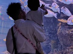 -成都浩海立方海洋公园