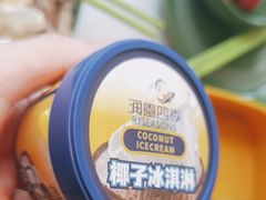 -润园四季椰子鸡火锅(南山海岸城店)