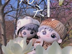 -香雪海