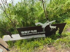 -重庆彩云湖湿地公园