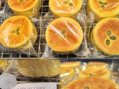 -TD66高山铁皮石斛养生茶饮