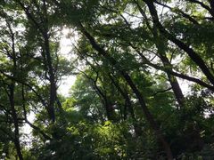 -二一九公园