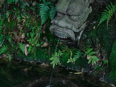 -十八棵（老龙井）御茶园(老龙井店)