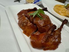 -圆苑(静安寺店)