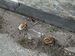 -上坦村