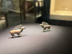-张掖市博物馆