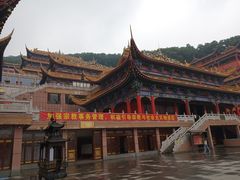 -东莞市大岭山森林公园