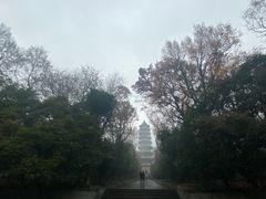 -灵谷景区