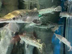 -多彩贵州城极地海洋世界