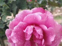 -人民公园(罗湖区)