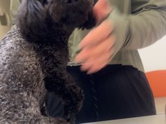 -美联众合24小时·皮肤科·外科·全科诊疗中心(华苑分院)