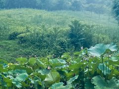 -天目湖涵田度假村