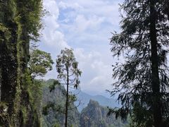 -刘伯温故里景区百丈漈